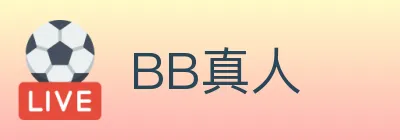 BB真人 logo
